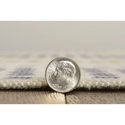 Maldon Washable Outdoor Rug Ivory/Blue - Linon - Image 5